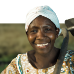 Teste Impacto e Inovação na Saúde Feminina: Como a Vangulula Está Mudando Vidas